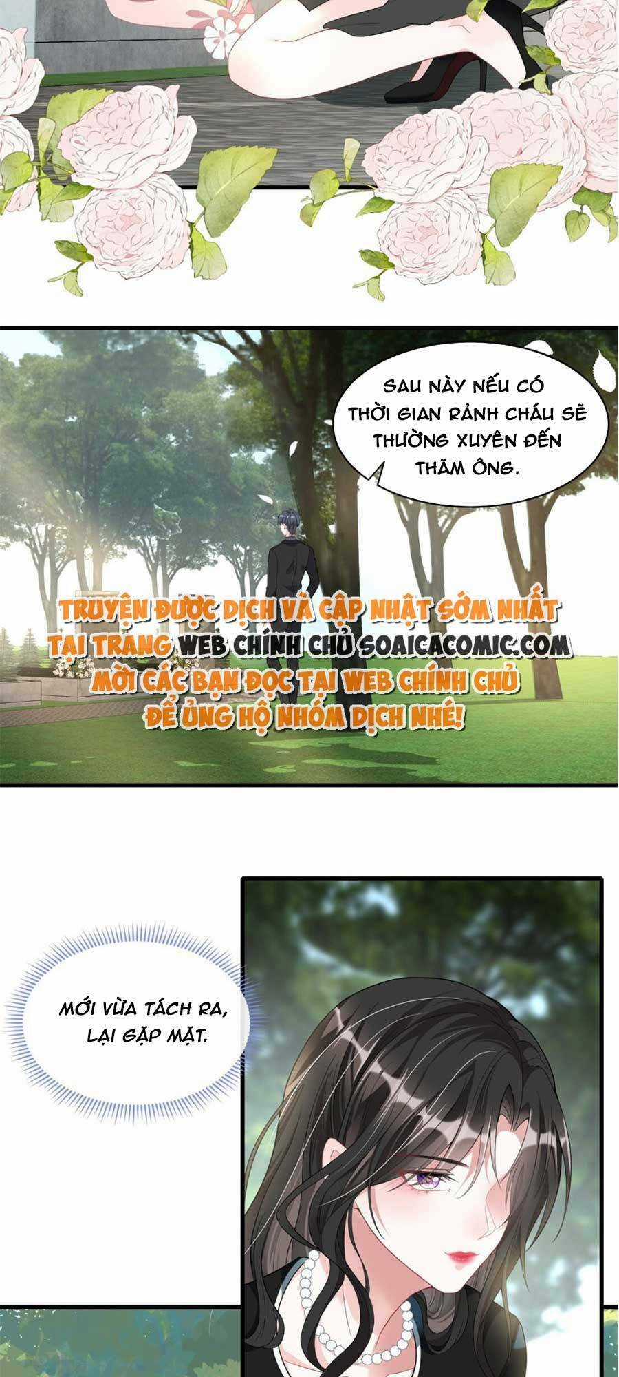 Vợ Tôi Là Boss Ngầm Đầy Quyền Lực Chapter 4 trang 27