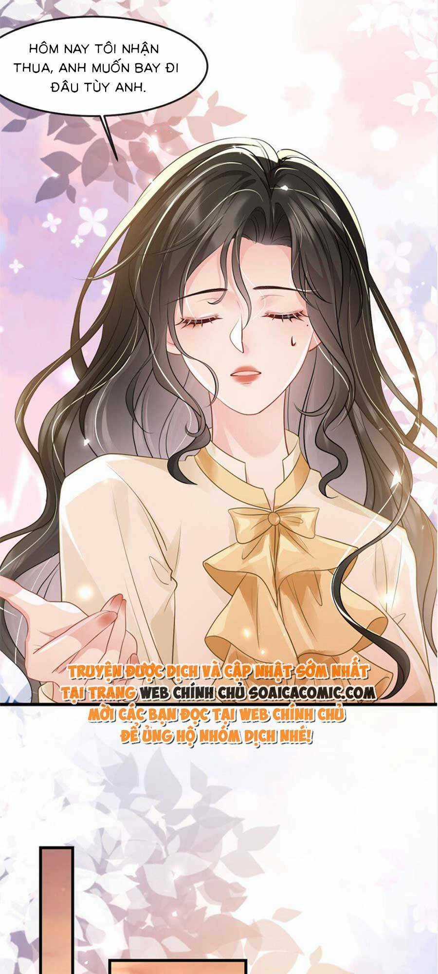 Vợ Tôi Là Boss Ngầm Đầy Quyền Lực Chapter 41 trang 24