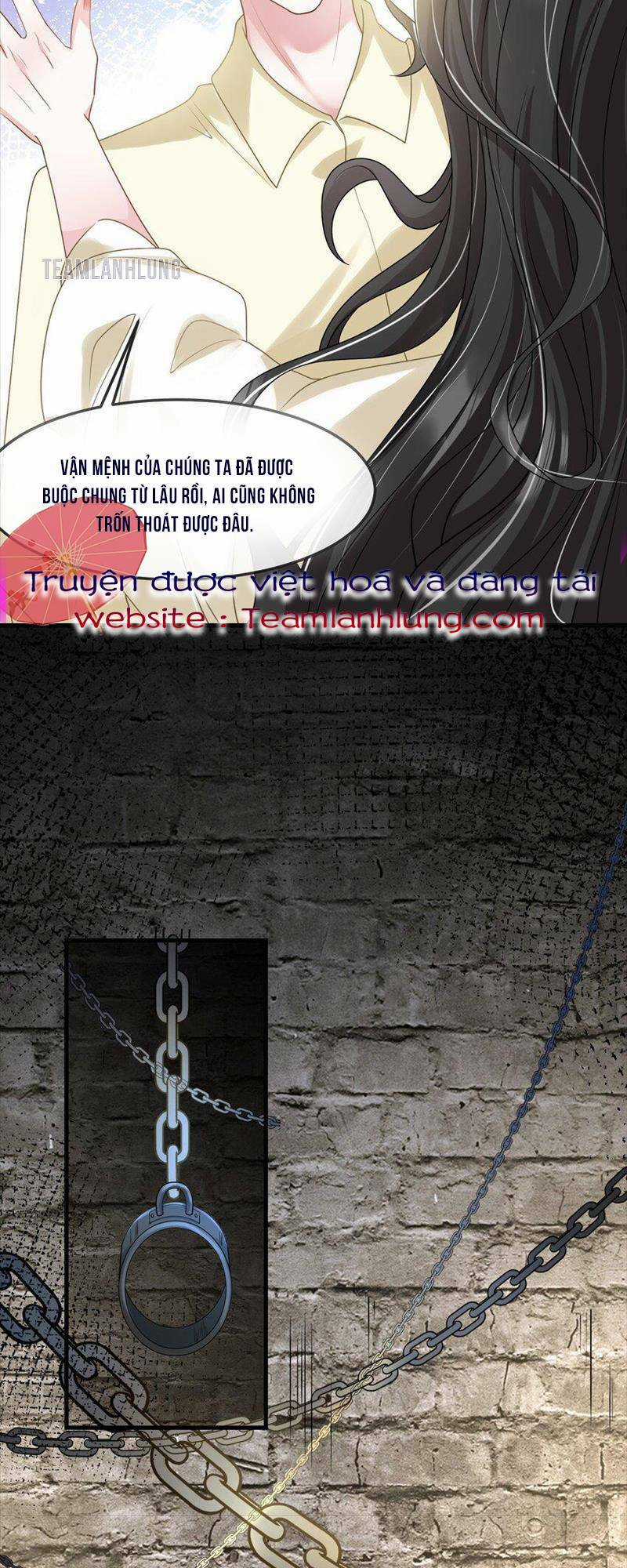 Vợ Tôi Là Boss Ngầm Đầy Quyền Lực Chapter 42 trang 14