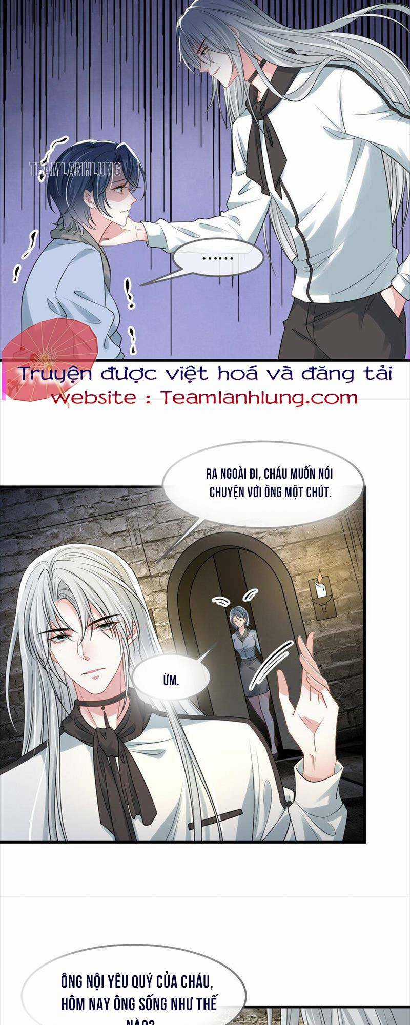 Vợ Tôi Là Boss Ngầm Đầy Quyền Lực Chapter 42 trang 19