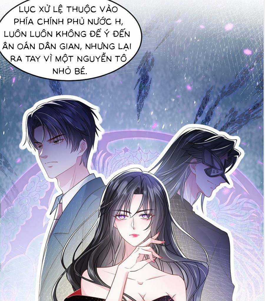 Vợ Tôi Là Boss Ngầm Đầy Quyền Lực Chapter 43 trang 13
