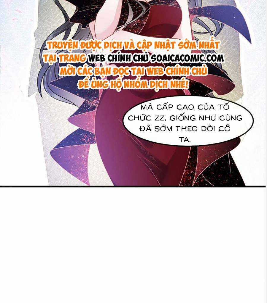 Vợ Tôi Là Boss Ngầm Đầy Quyền Lực Chapter 43 trang 14