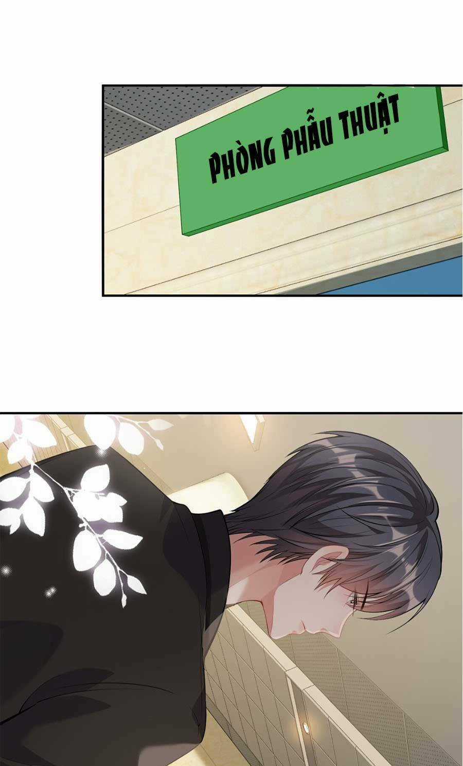 Vợ Tôi Là Boss Ngầm Đầy Quyền Lực Chapter 5 trang 17