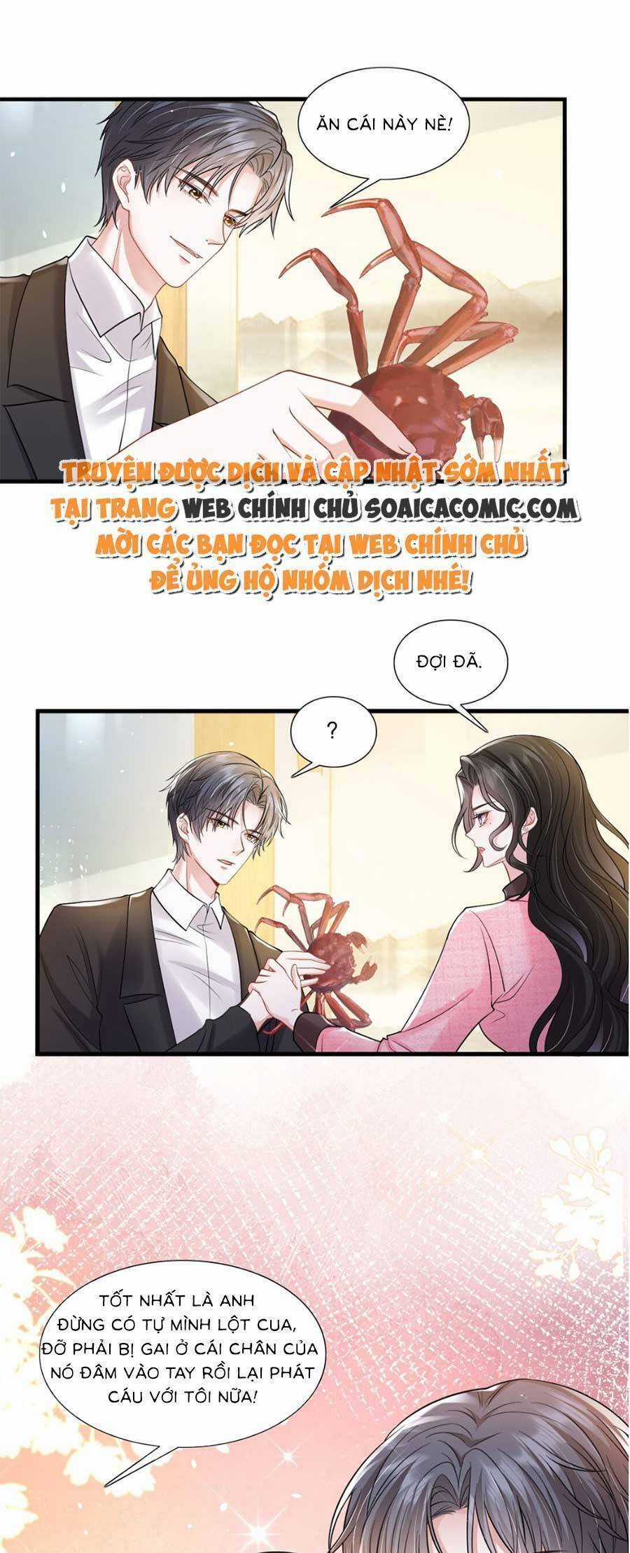 Vợ Tôi Là Boss Ngầm Đầy Quyền Lực Chapter 57 trang 5