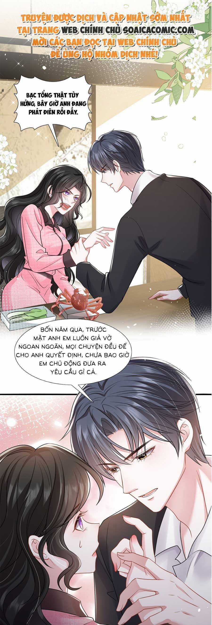 Vợ Tôi Là Boss Ngầm Đầy Quyền Lực Chapter 57 trang 7