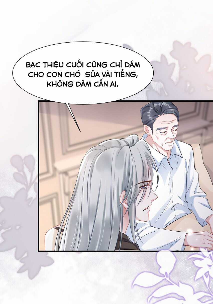 Vợ Tôi Là Boss Ngầm Đầy Quyền Lực Chapter 58 trang 10