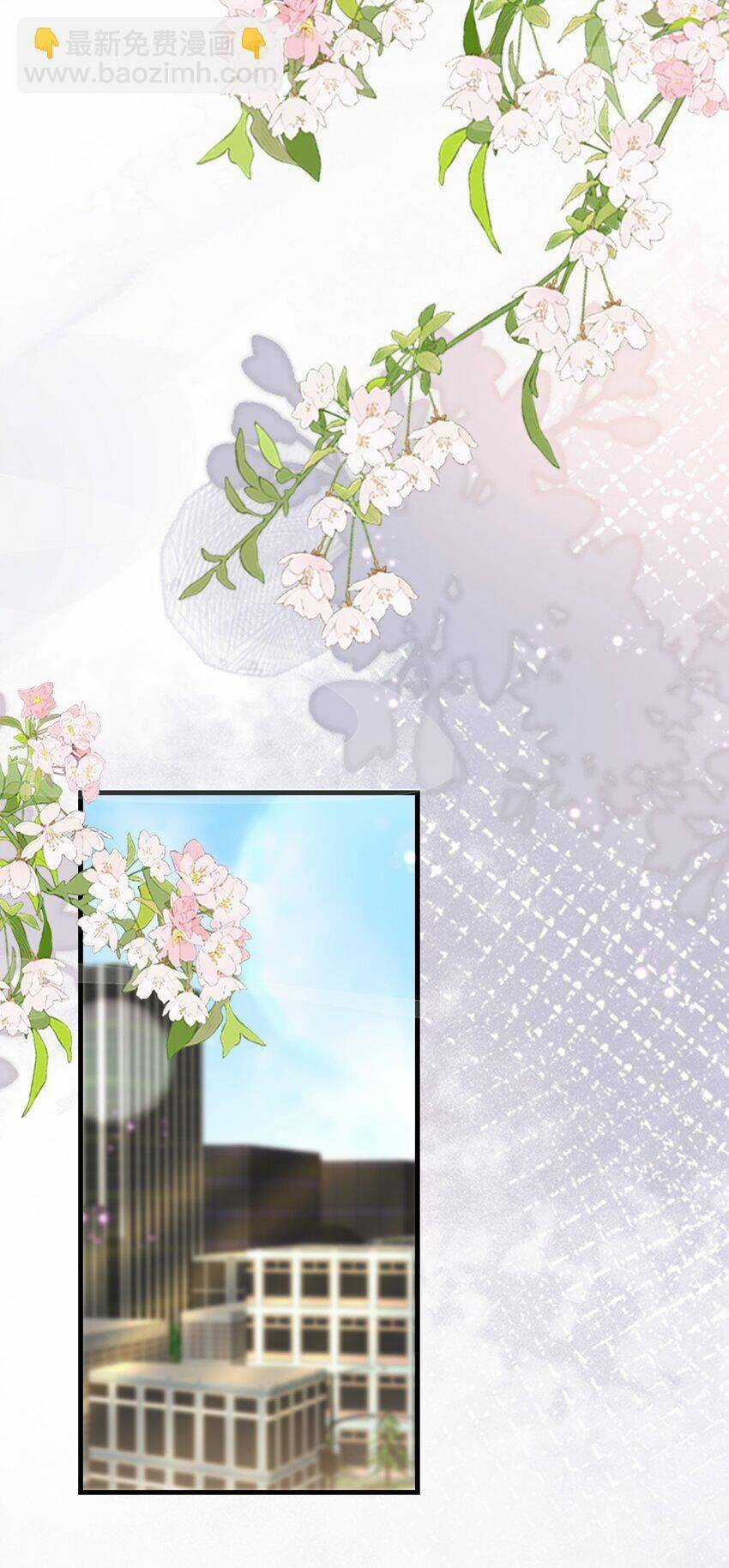 Vợ Tôi Là Boss Ngầm Đầy Quyền Lực Chapter 59 trang 32