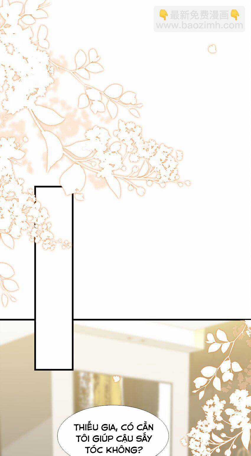 Vợ Tôi Là Boss Ngầm Đầy Quyền Lực Chapter 59 trang 5