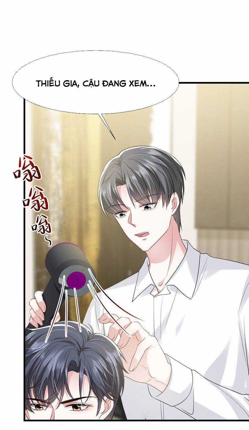 Vợ Tôi Là Boss Ngầm Đầy Quyền Lực Chapter 59 trang 8