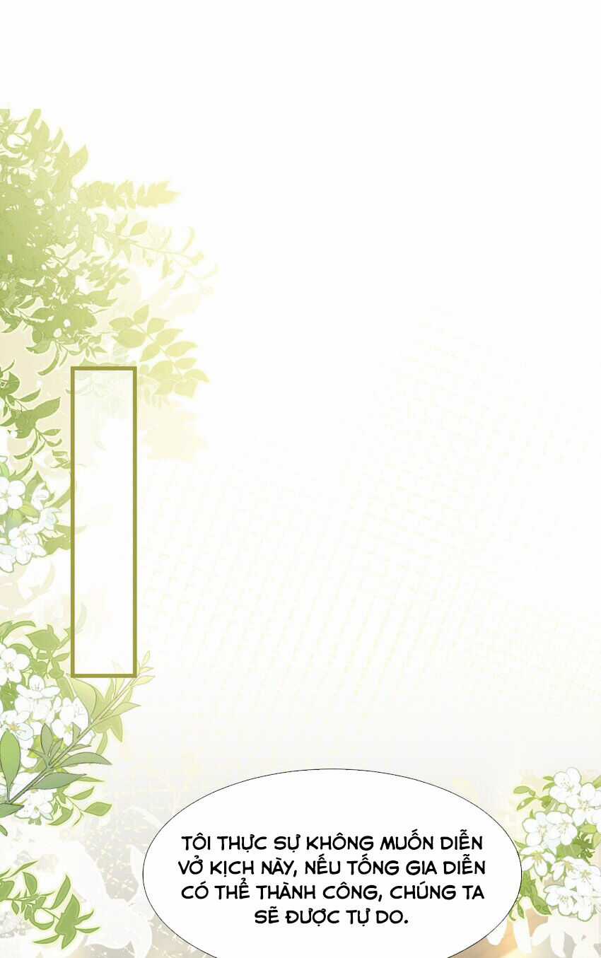 Vợ Tôi Là Boss Ngầm Đầy Quyền Lực Chapter 61 trang 17