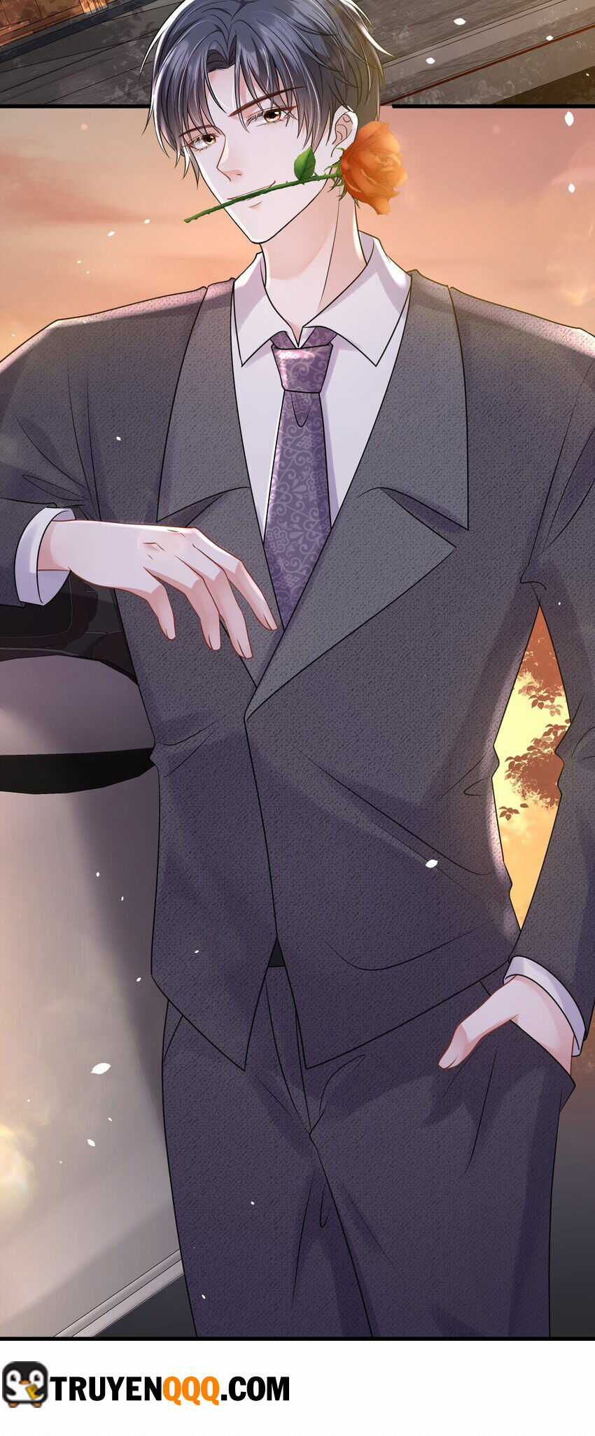 Vợ Tôi Là Boss Ngầm Đầy Quyền Lực Chapter 61 trang 28