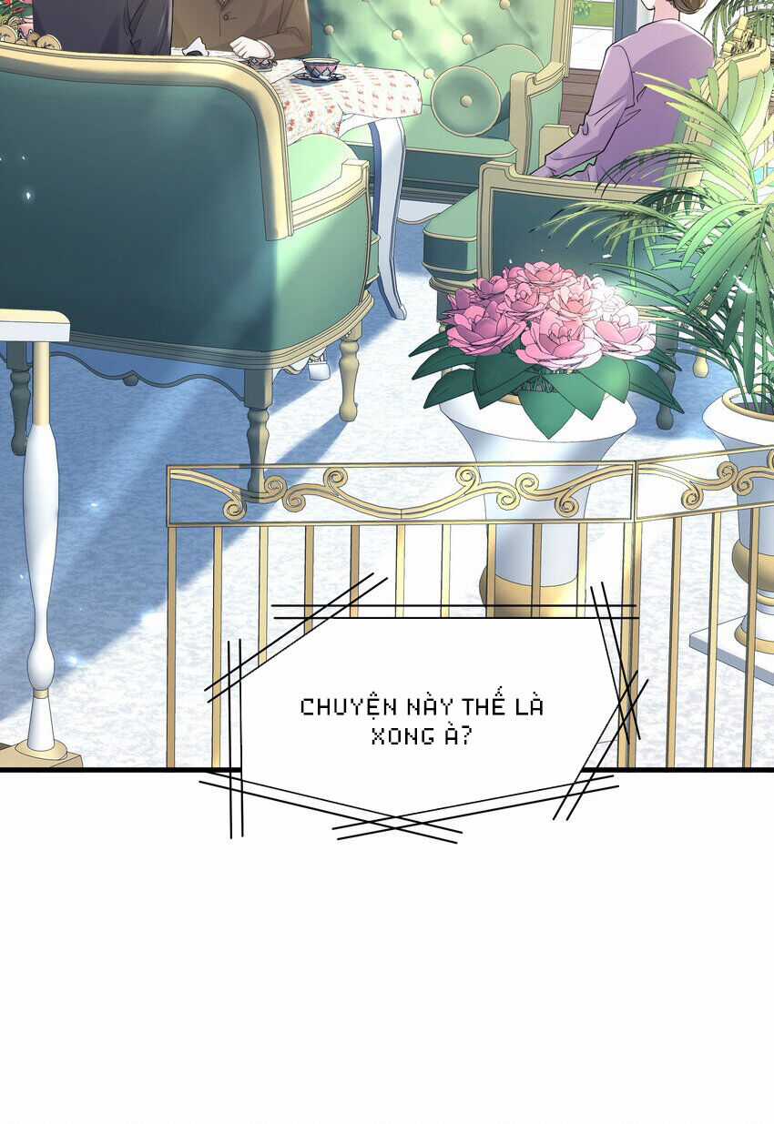 Vợ Tôi Là Boss Ngầm Đầy Quyền Lực Chapter 61 trang 5