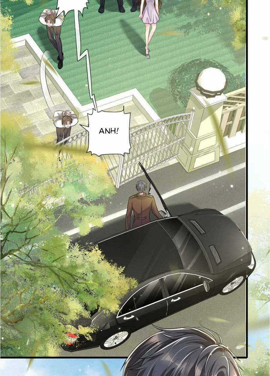 Vợ Tôi Là Boss Ngầm Đầy Quyền Lực Chapter 8 trang 23