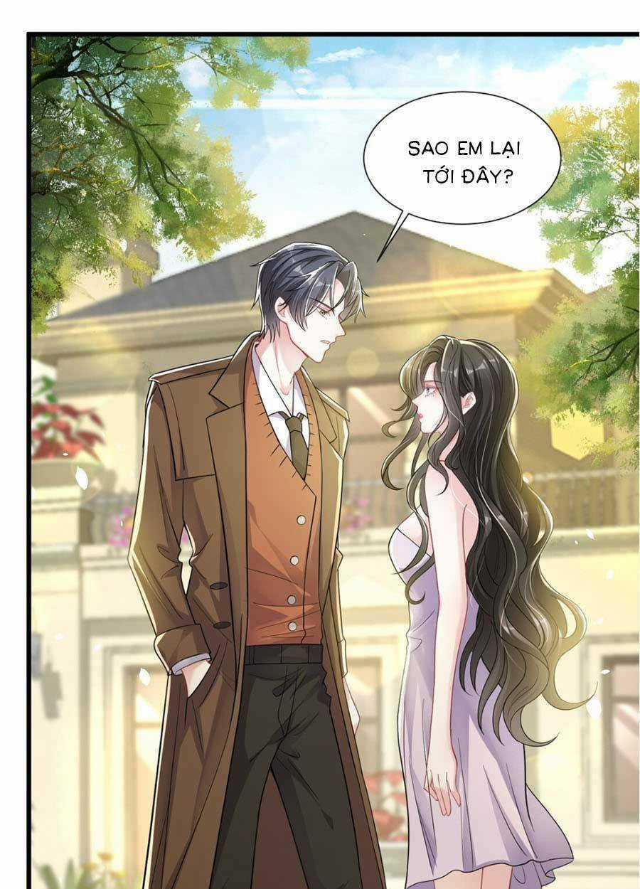 Vợ Tôi Là Boss Ngầm Đầy Quyền Lực Chapter 8 trang 28