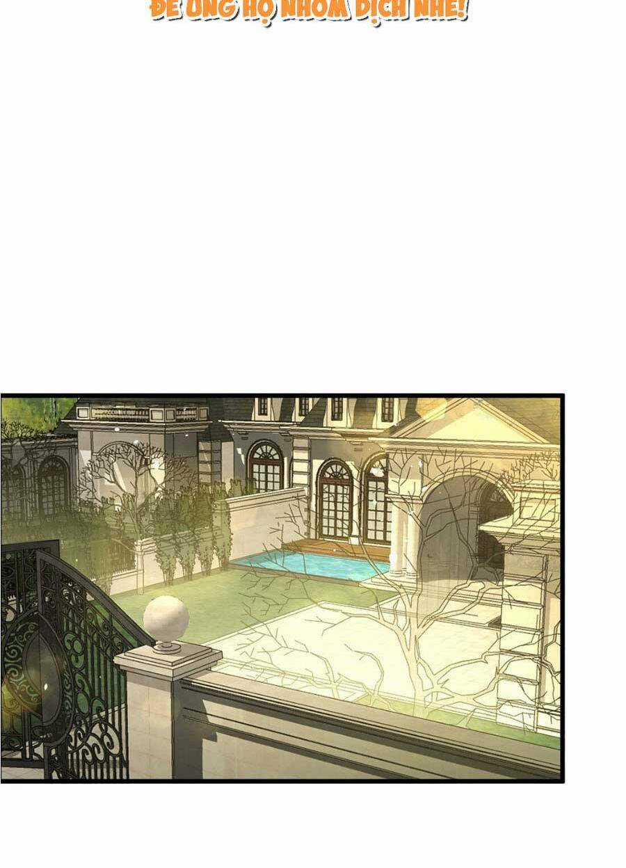 Vợ Tôi Là Boss Ngầm Đầy Quyền Lực Chapter 9 trang 4