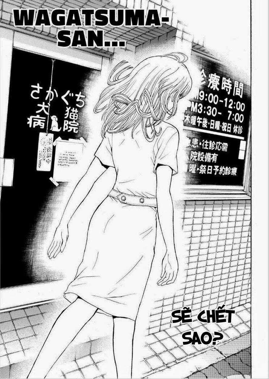 Vợ Tôi Là Wagatsuma Chapter 93 trang 9
