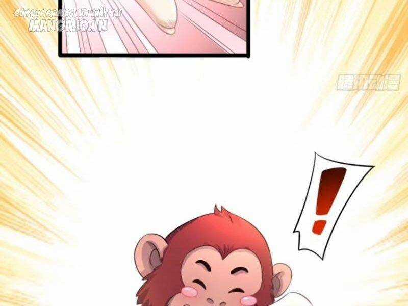 Vợ Tôi Và Tôi Thống Trị Tam Giới Chapter 119 trang 34