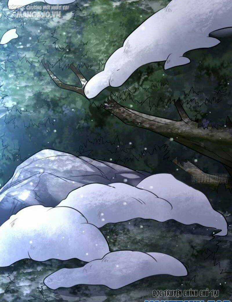 Vợ Tôi Và Tôi Thống Trị Tam Giới Chapter 120 trang 49