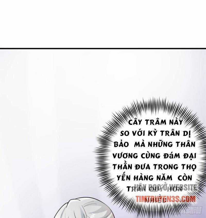 Vợ Tôi Và Tôi Thống Trị Tam Giới Chapter 14 trang 13
