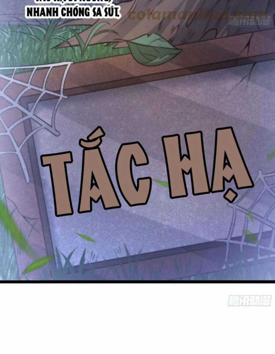 Vợ Tôi Và Tôi Thống Trị Tam Giới Chapter 48 trang 19