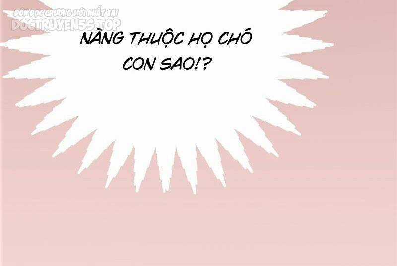 Vợ Tôi Và Tôi Thống Trị Tam Giới Chapter 99 trang 97