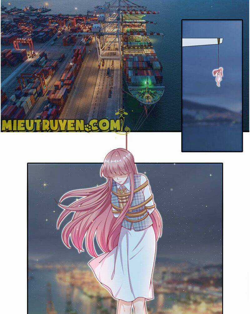 Vợ Yêu Cưới Trước Sủng Sau Chapter 66 trang 5