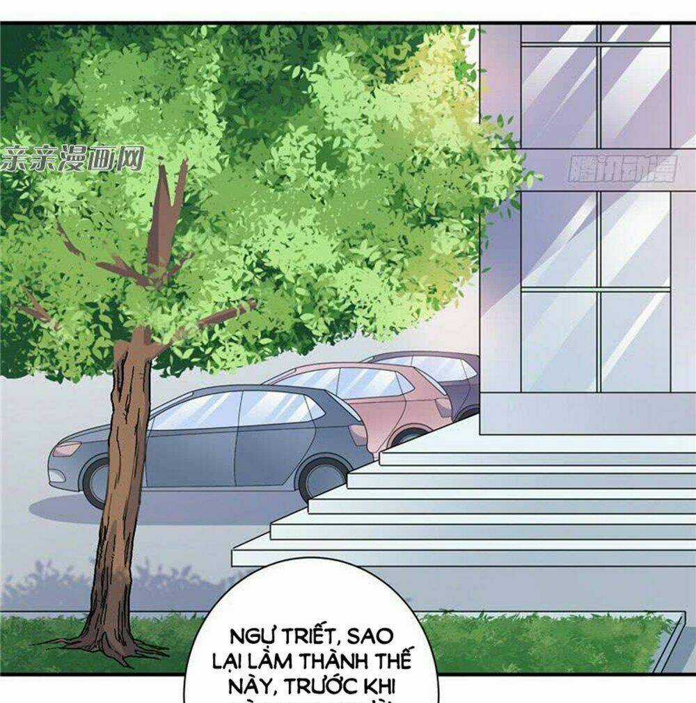 Vợ Yêu Là Báu Vật Chapter 81 trang 12