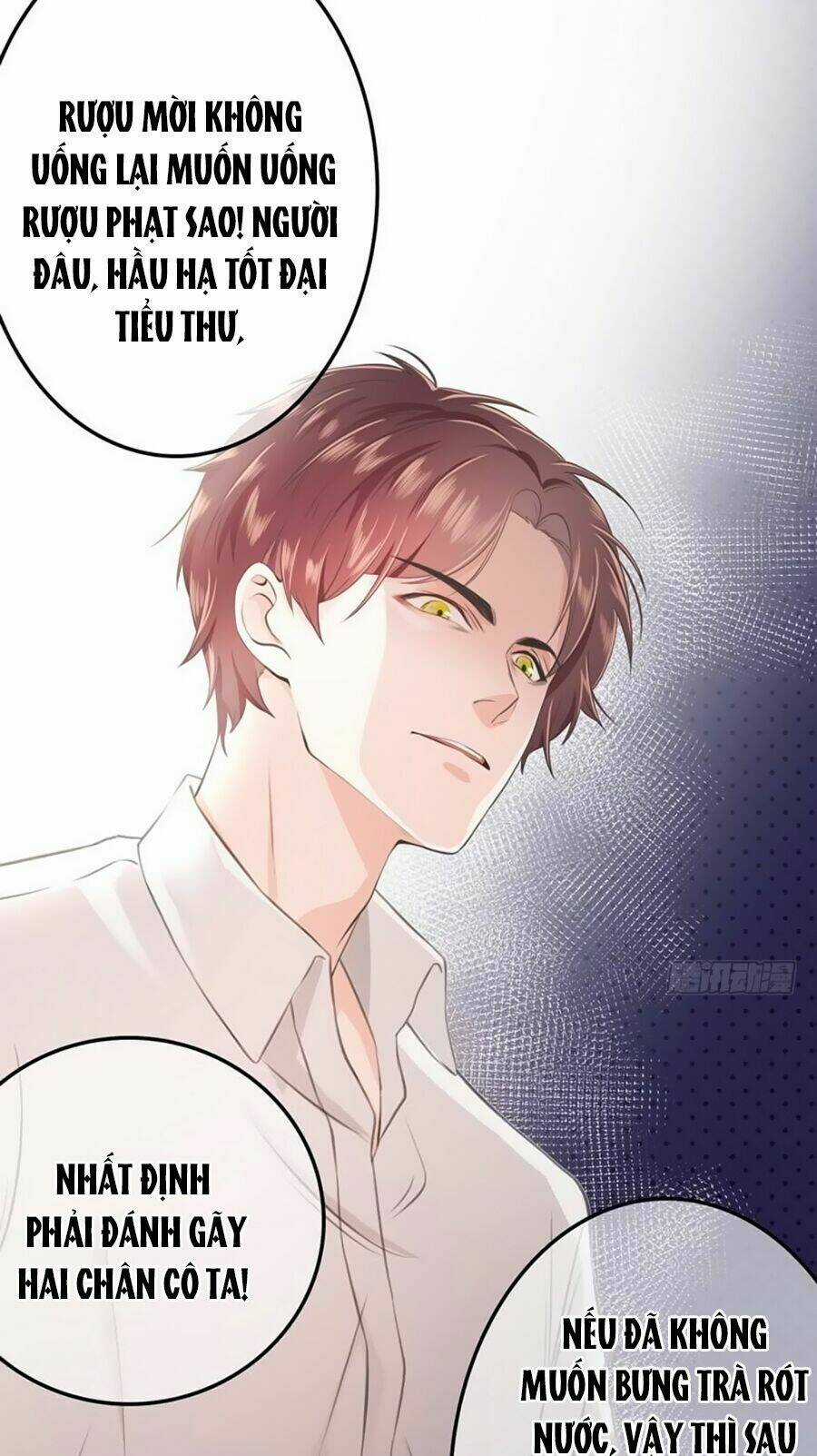 Vợ Yêu Tư Sủng Của Thiếu Soái Chapter 3 trang 16