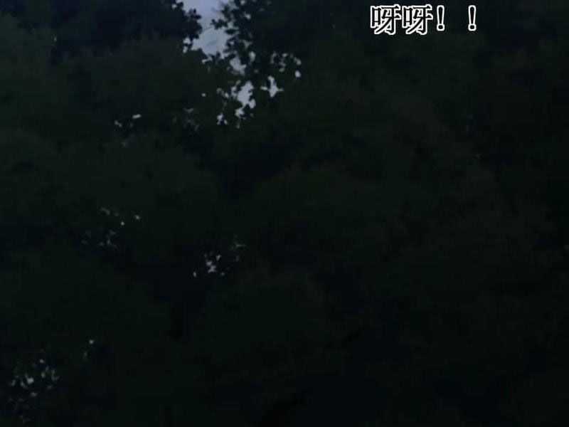 Võng Du: Ta Có Thể Tiến Hóa Tất Cả Chapter 13 trang 70