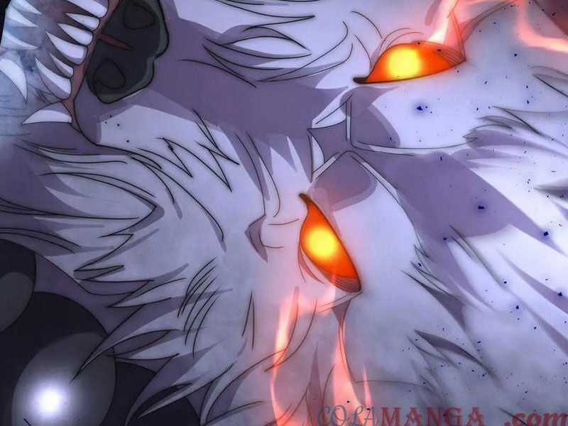 Võng Du: Ta Có Thể Tiến Hóa Tất Cả Chapter 14 trang 11