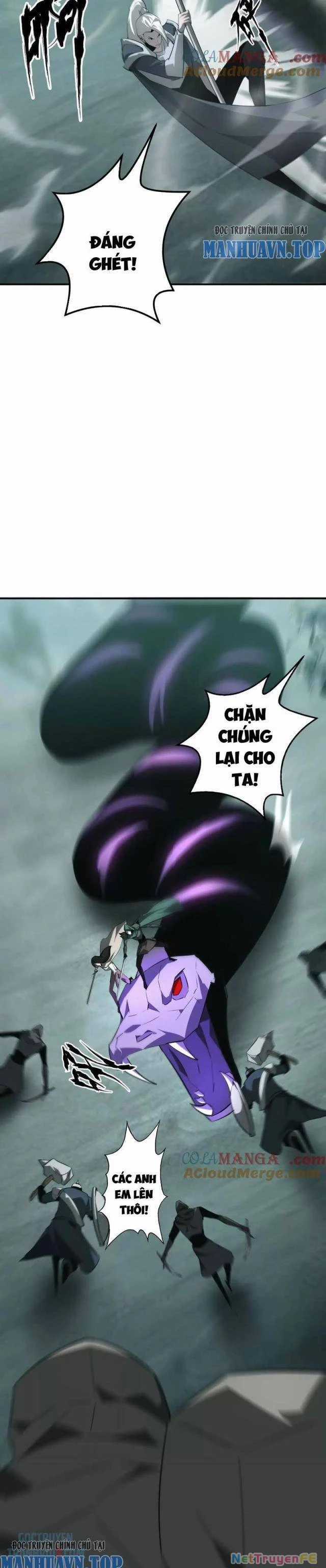 Võng Du Thiên Hạ Vô Song Chương 33 trang 13