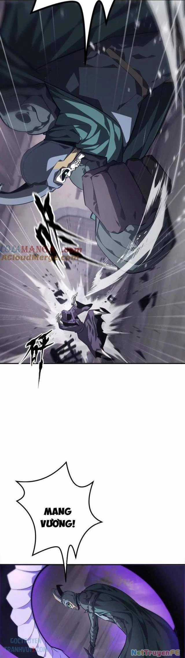 Võng Du Thiên Hạ Vô Song Chương 45 trang 13