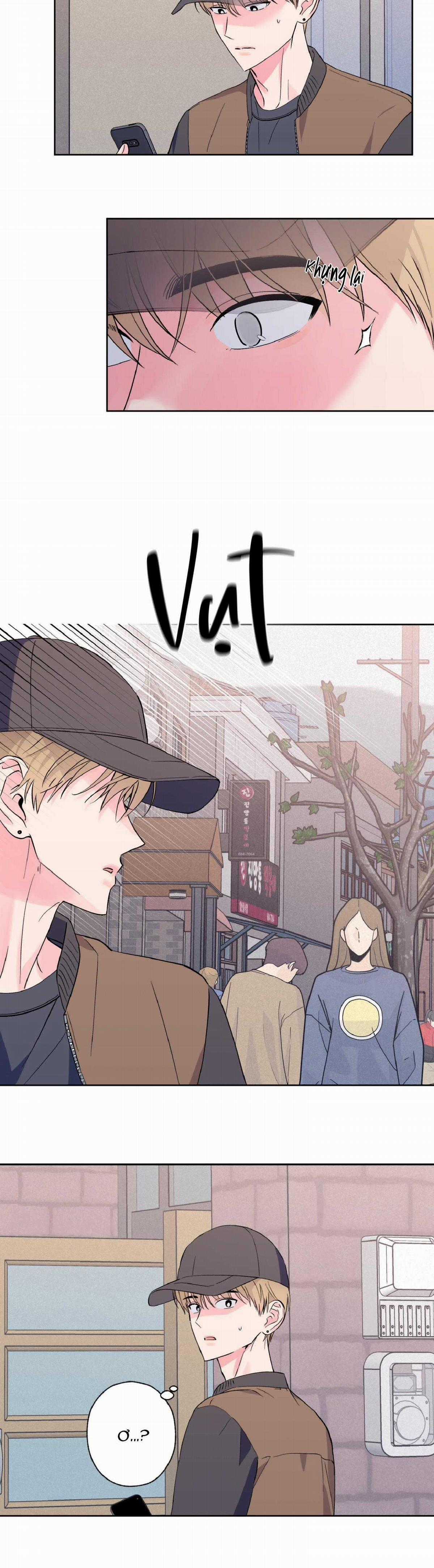 Vụ Bê Bối Của Beta Chapter 12 trang 5