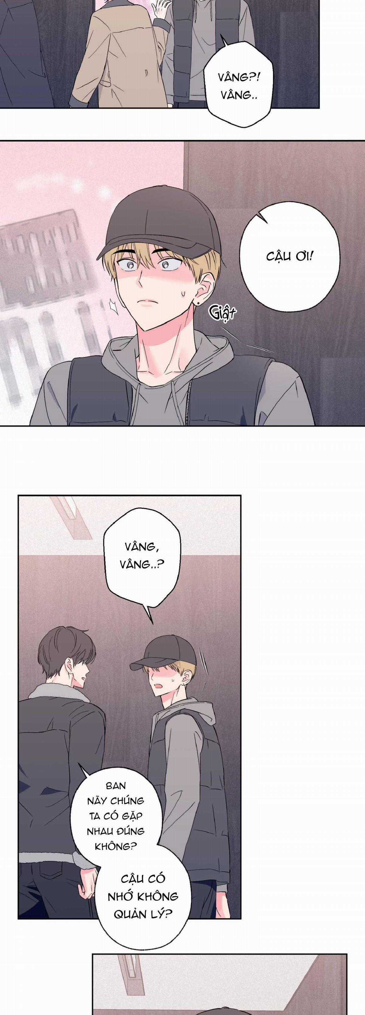 Vụ Bê Bối Của Beta Chapter 13 trang 19