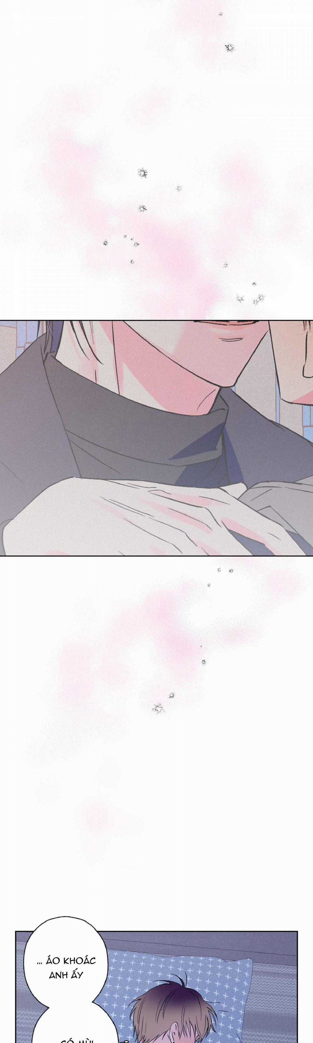 Vụ Bê Bối Của Beta Chapter 15 trang 17