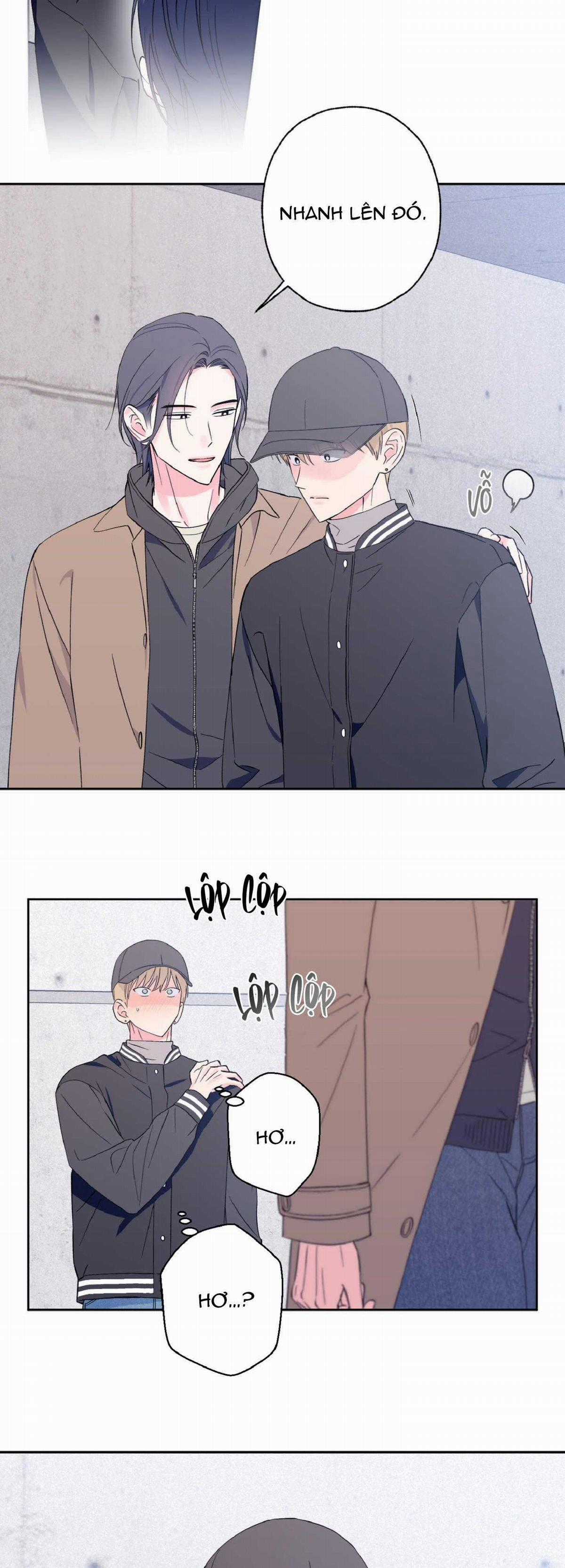 Vụ Bê Bối Của Beta Chapter 16 trang 5