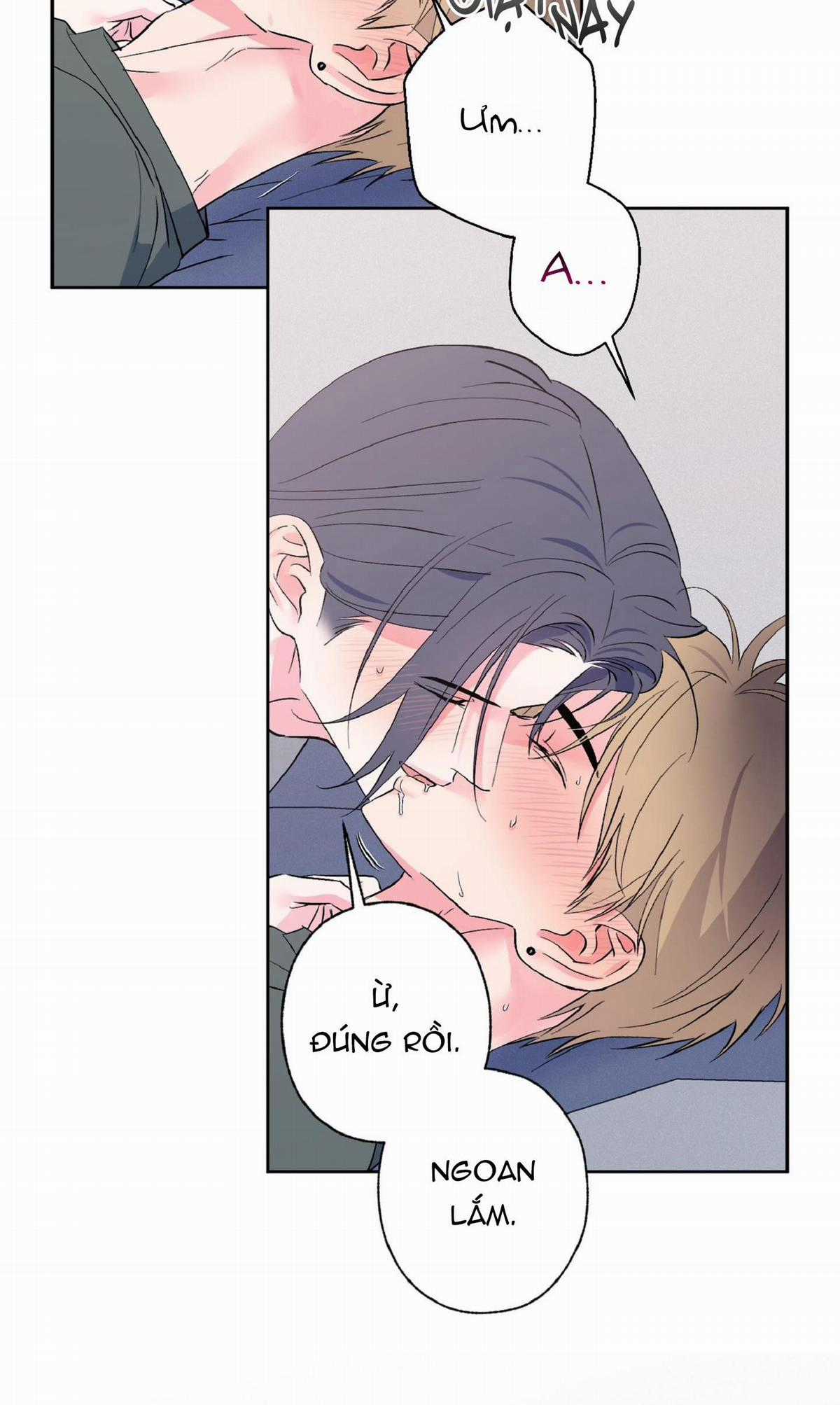 Vụ Bê Bối Của Beta Chapter 20 trang 23