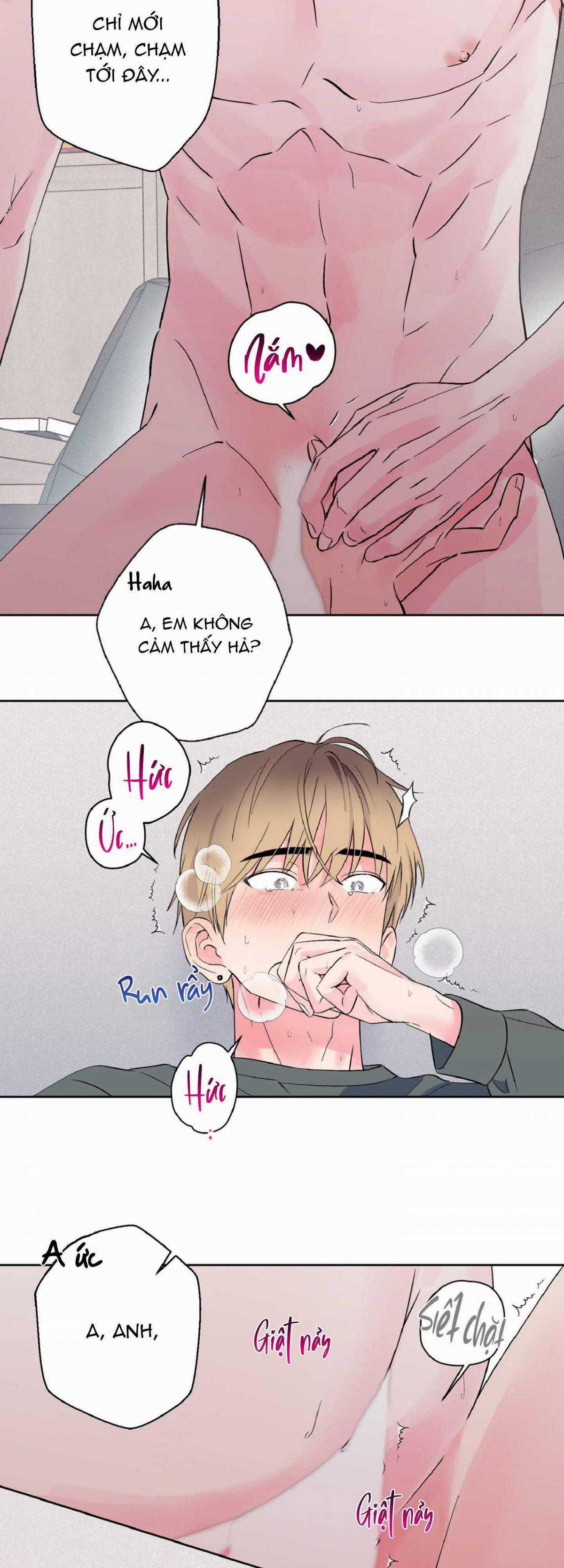 Vụ Bê Bối Của Beta Chapter 21 trang 19