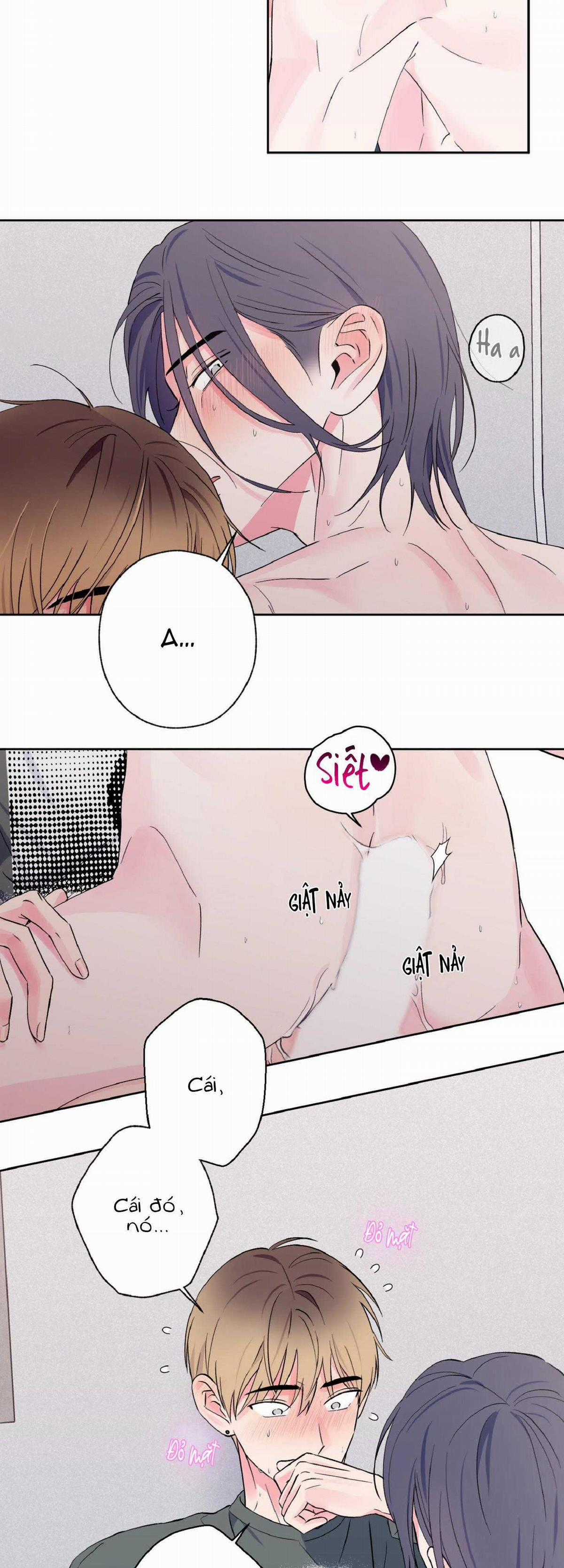 Vụ Bê Bối Của Beta Chapter 21 trang 27