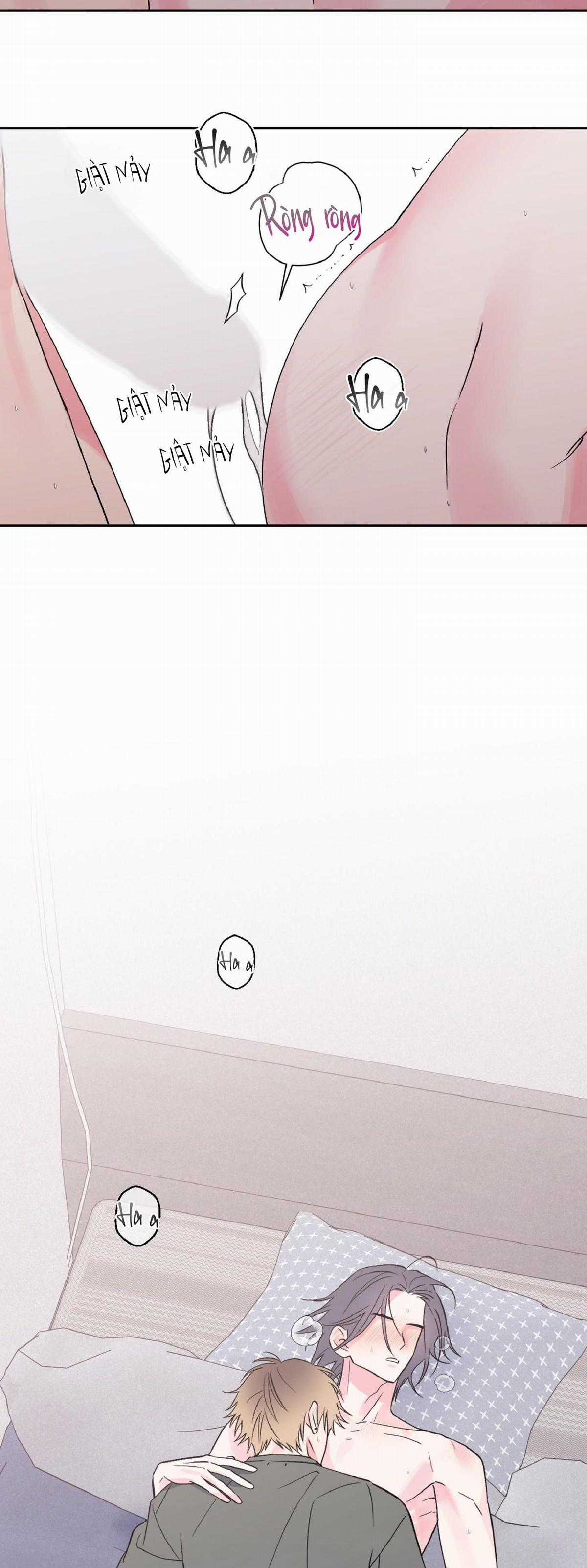 Vụ Bê Bối Của Beta Chapter 22 trang 19