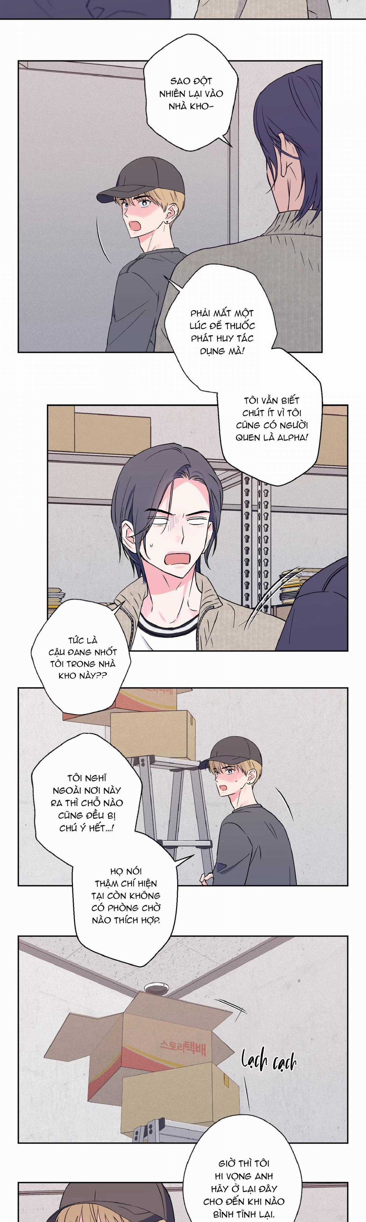 Vụ Bê Bối Của Beta Chapter 8 trang 12