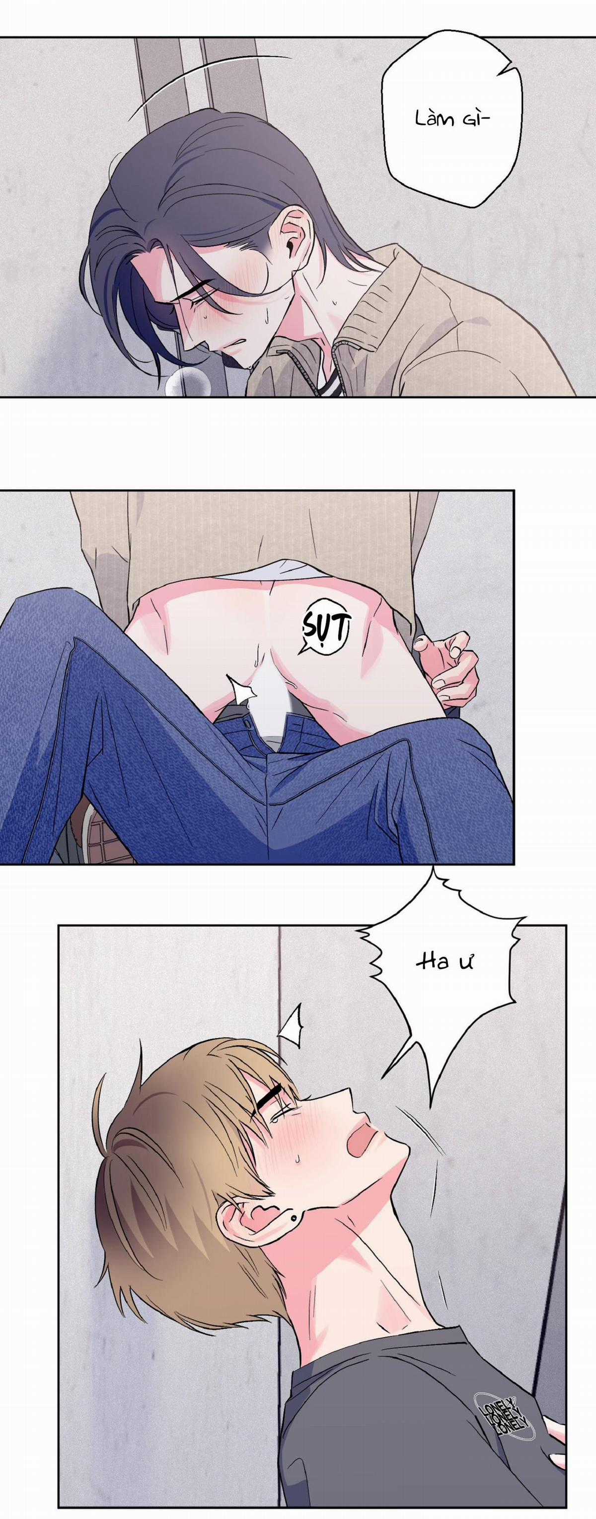 Vụ Bê Bối Của Beta Chapter 9 trang 19