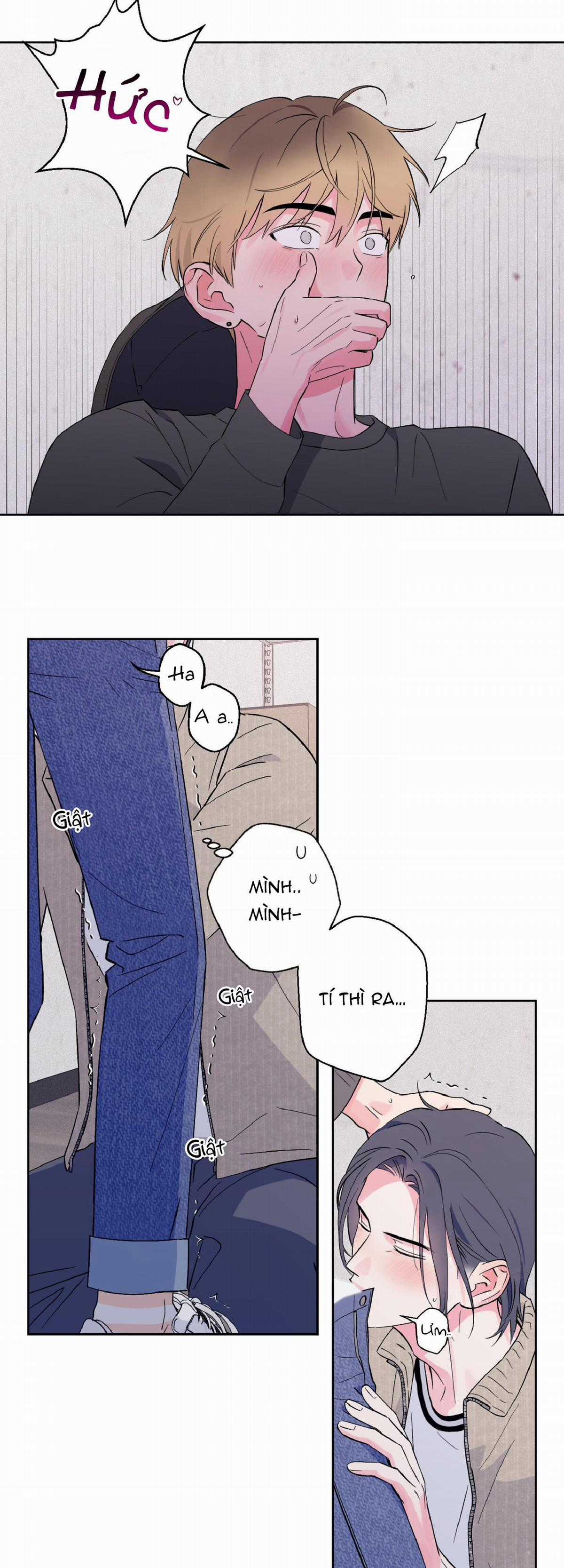 Vụ Bê Bối Của Beta Chapter 9 trang 8