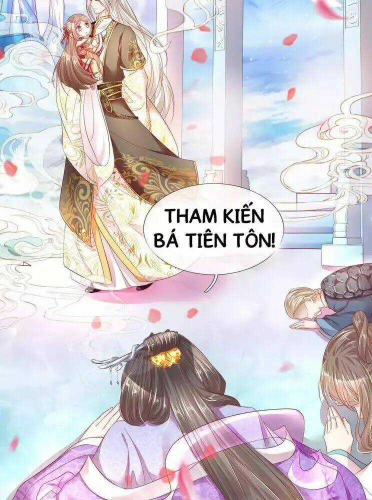 Vú Em Tiên Tôn Đi Ở Rể Chapter 1 trang 13