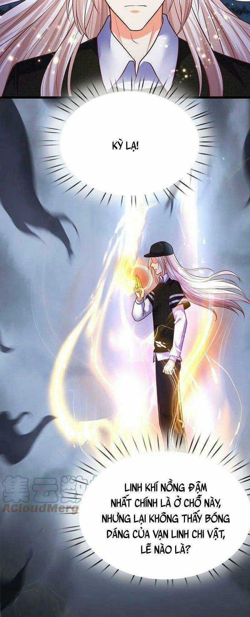 Vú Em Tiên Tôn Đi Ở Rể Chapter 296 trang 43
