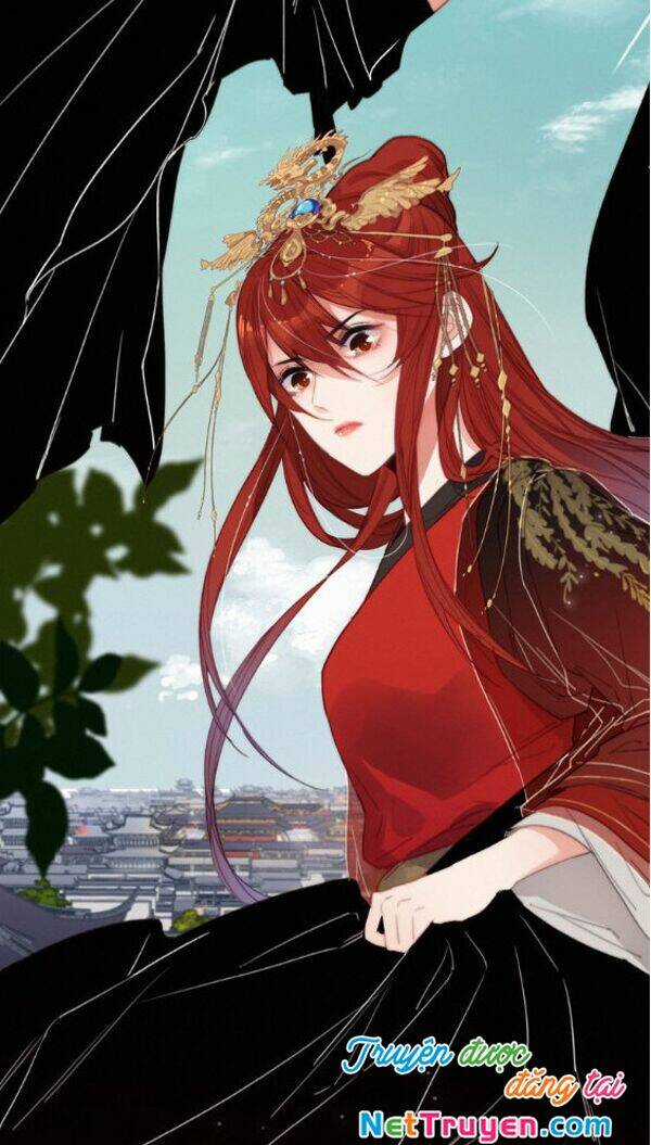 Vũ Phượng Chapter 2 trang 23