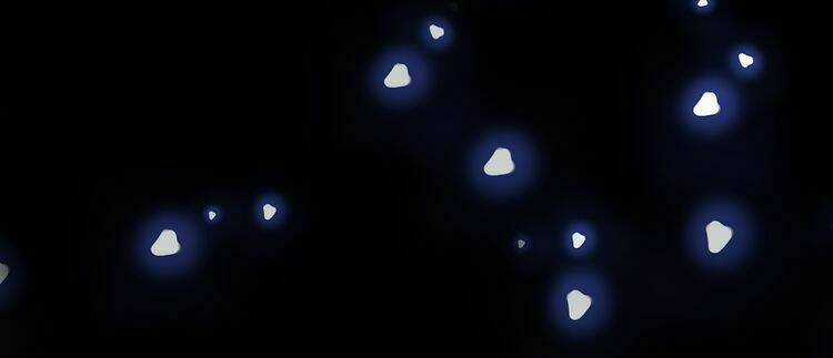 Vũ Tẫn Chapter 2 trang 18