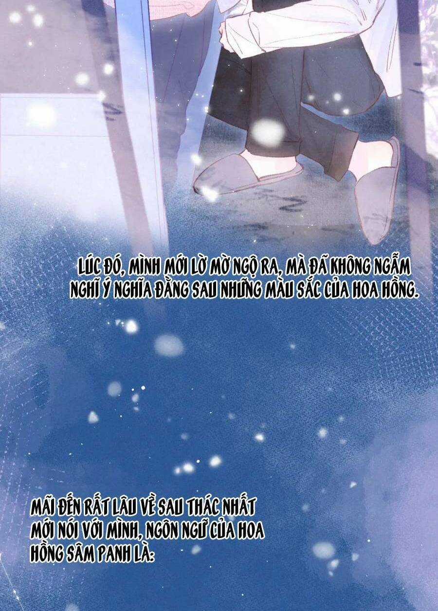 Vũ Xuyên Vật Ngữ Chapter 37 trang 25