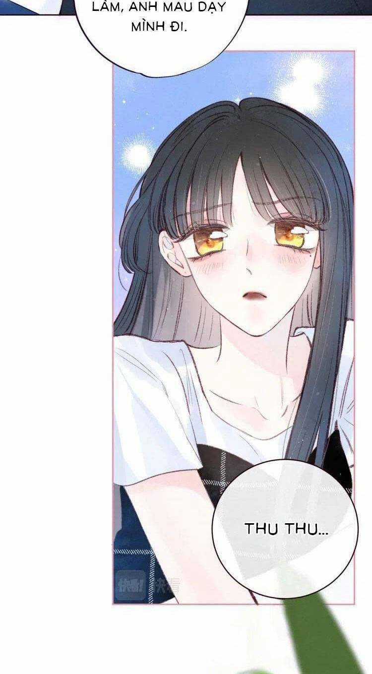 Vũ Xuyên Vật Ngữ Chapter 40 trang 40