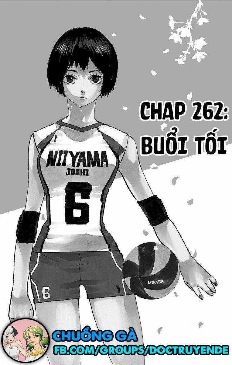 Vua Bóng Chuyền Chapter 246 trang 0